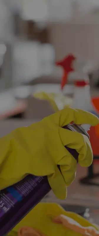 Cleaners Available in Bois D Arc